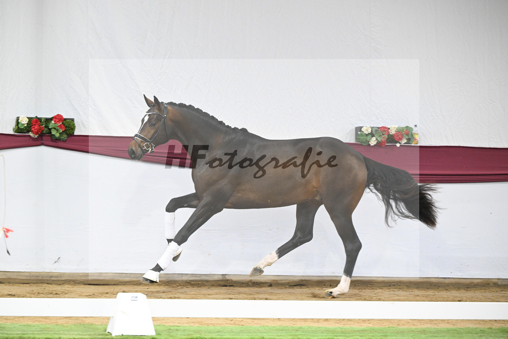 Kat-Nr. 13 Escaneno x De Niro-Christoph Wahler_47250221 | hf-fotografie - Realisiert mit Pictrs.com