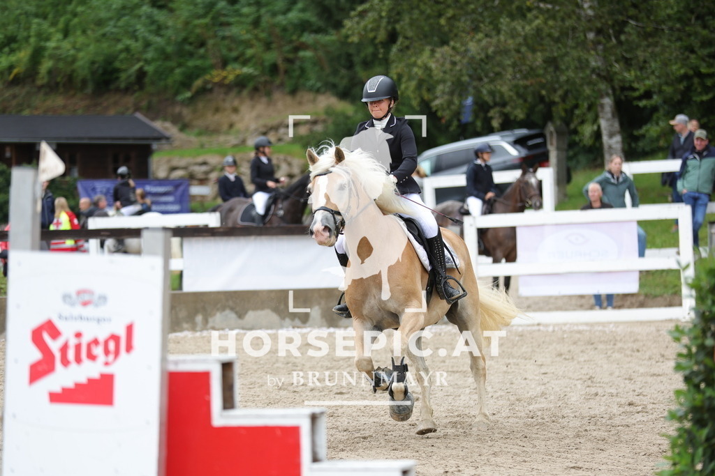 0P6A1083 | Willkommen bei Brunnmayr - Design & Fotografie – Ihrem Spezialisten für Reitturniere und Pferdeveranstaltungen in Oberösterreich, Salzburg und Bayern! Seit über 17 Jahren sind wir leidenschaftlich dabei.