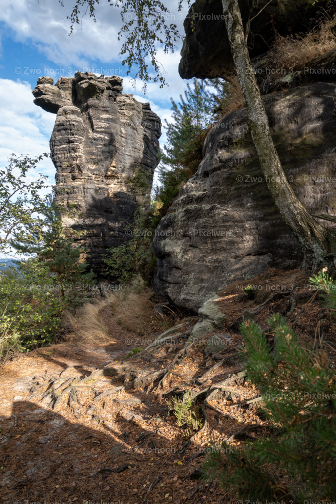 Obere_Affensteinpromenade_Untere_Winterbergspitze_Felsen_Wurzel | 2022-09-02_Waldbrandgebiete_2 - Realisiert mit Pictrs.com