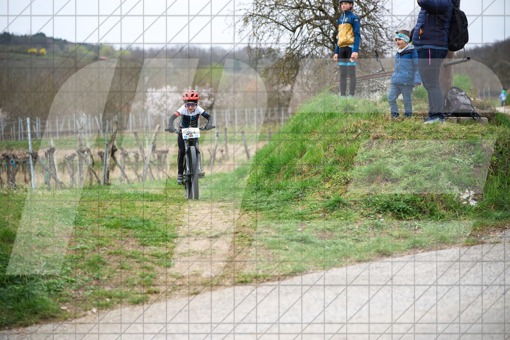 34. KTM Kamptal Trophy  | ZÖBING, Österreich – 2026-03-28: 34. KTM Kamptal TrophyFoto: © 2026 Martin Bihounek - MB Creative e.U.