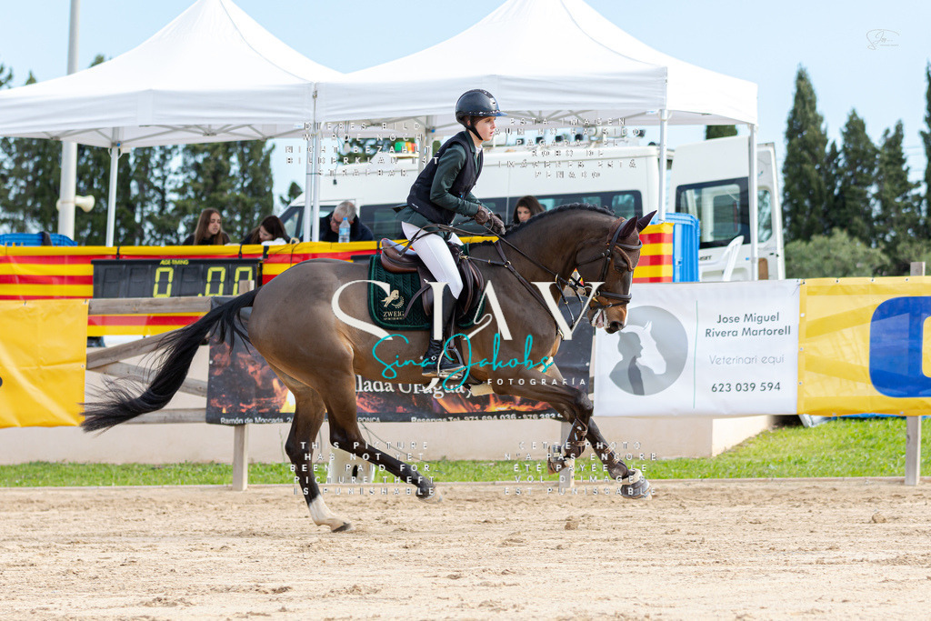 IMG_2801 | s-jay-photography - Realisiert mit Pictrs.com