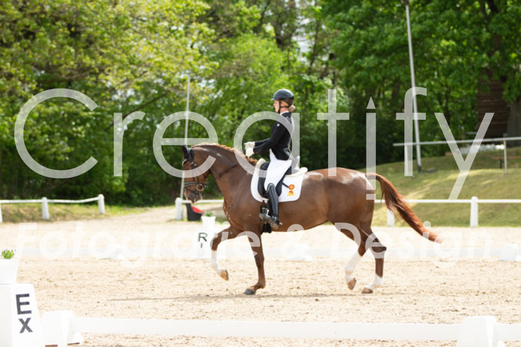 IMG_2285 | Creatify Fotografie