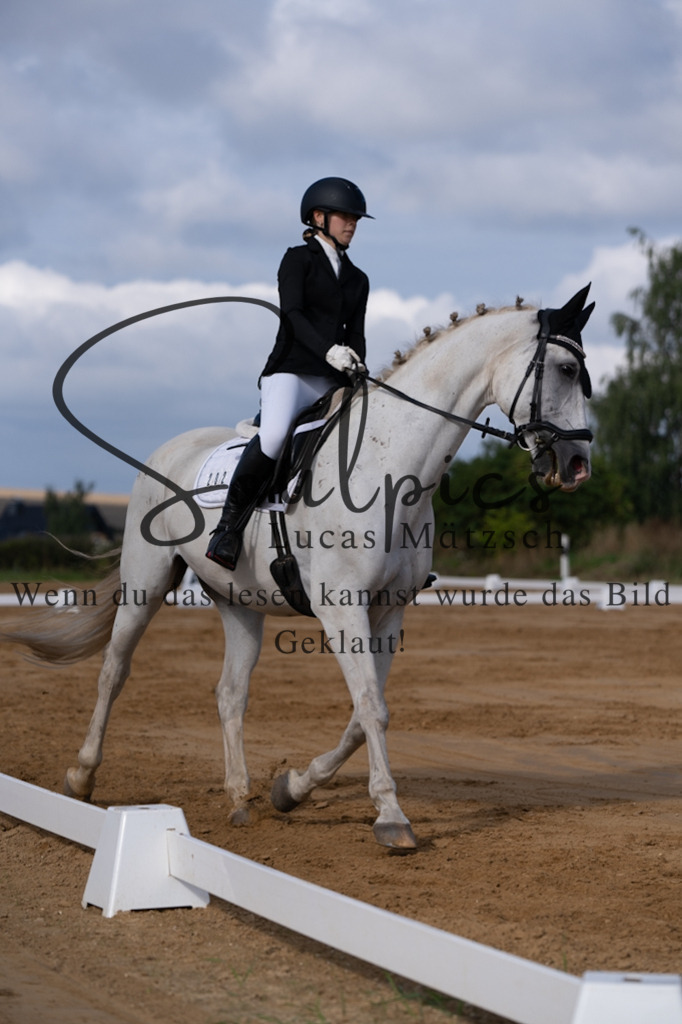 A7V05151 | Pferdefotograf