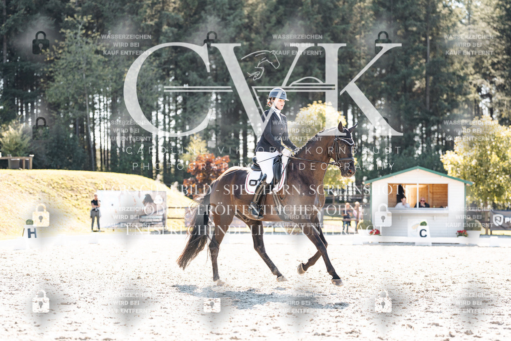 CK905601 | Turnierfotografie Pferdefotografie Trier Rheinland-Pfalz Pferdesport Reitsport Tierfotografie Sportfotografie Pferdevideo Pferdevideografie Equestrianvideography equestrianphotography  - Realisiert mit Pictrs.com