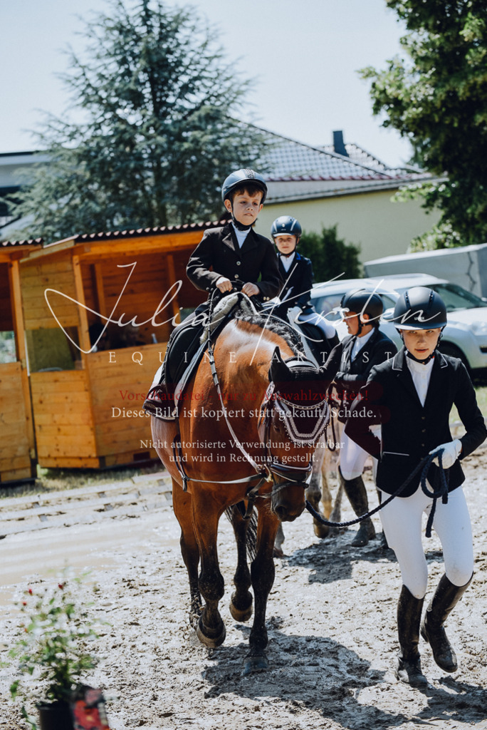 DSC_2260 | Pferde- und Turnierfotografie in Westsachsen. Pferdeportraits, Auftragszeichnungen und intuitive Kunst.