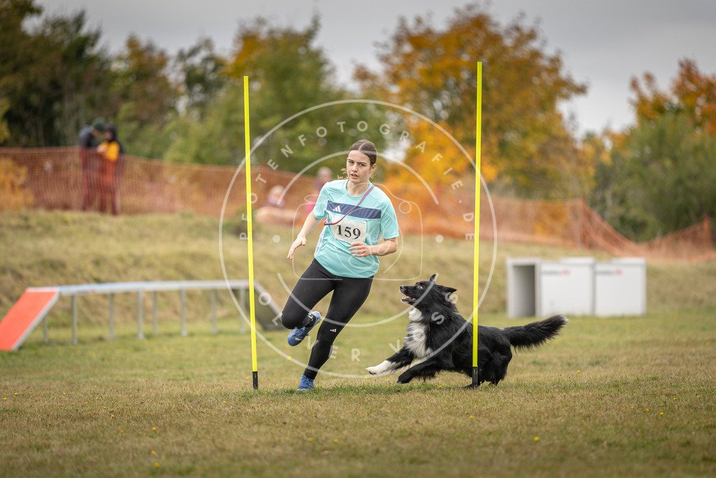 Pfotenfotografie_DV3A5102 | Hundefotografie, Tierfotograf, Pfotenfotografie, Fotoshooting Hund, Hunde Portrait, Hundesport, Hundeportraits, Heideshooting, Hunde, Sportfotograf, Hundefotograf, Turnierhundsport, THS,  - Realisiert mit Pictrs.com