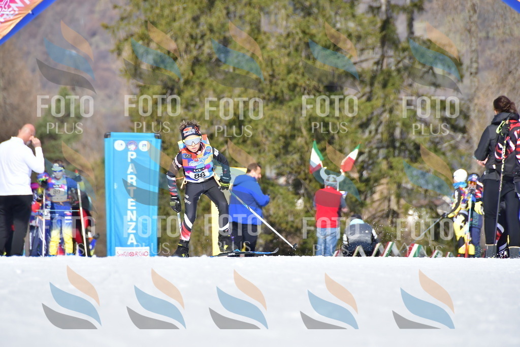 _DSC9462 | holidayphoto