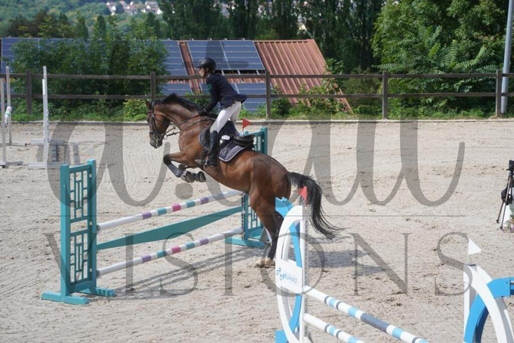 tgbhsonntag (552) | d.tail Visions - Shop - Realisiert mit Pictrs.com