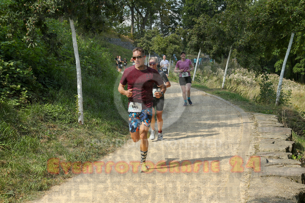 250824_1438_EX1_6976 | Sportfotografie im Rhein-Sieg Kreis, Köln, Bonn, NRW, Rheinland Pfalz, Hessen, etc. Unser Tätigkeitsfeld umfasst den Laufsport vom Volkslauf über den Marathon, Duathlon, Triathon bis zum Ultralauf wie Kölnpfad Ultra oder Schindertrail.