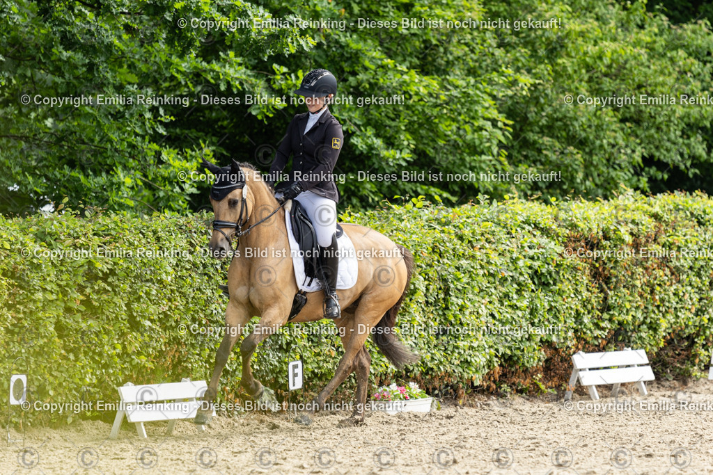 CL5A5340 | Emilia Reinking Fotografie - Realisiert mit Pictrs.com