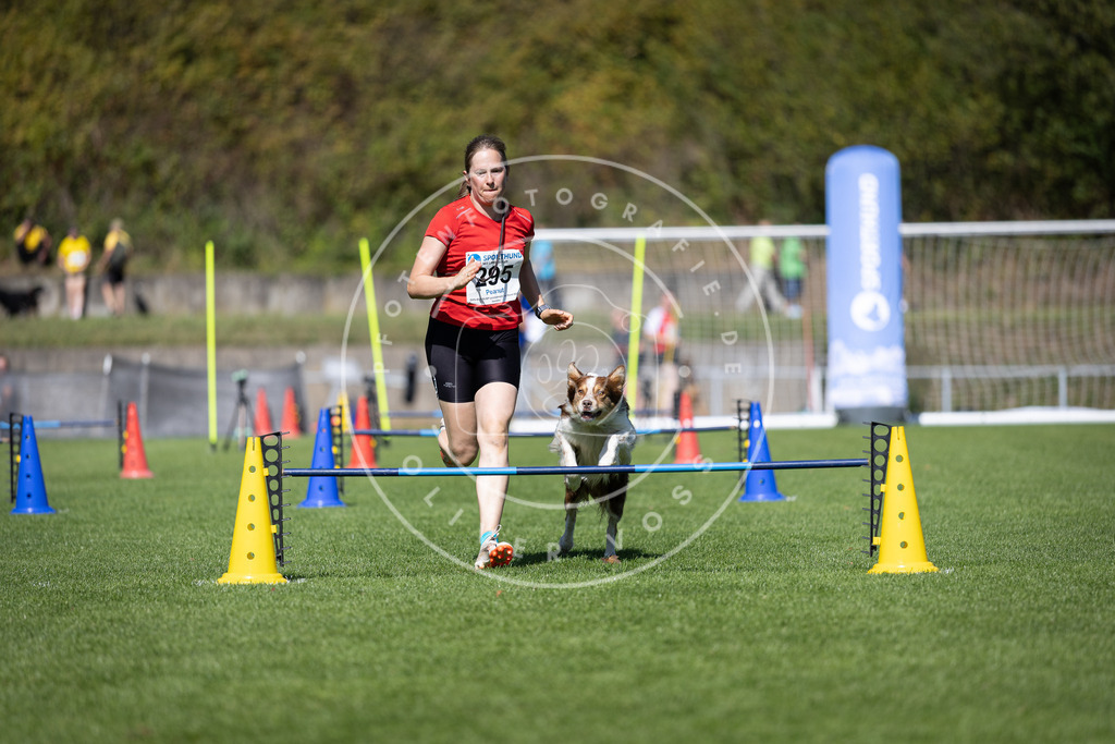 Pfotenfotografie_DV3A7587 | Hundefotografie, Tierfotograf, Pfotenfotografie, Fotoshooting Hund, Hunde Portrait, Hundesport, Hundeportraits, Heideshooting, Hunde, Sportfotograf, Hundefotograf, Turnierhundsport, THS,  - Realisiert mit Pictrs.com