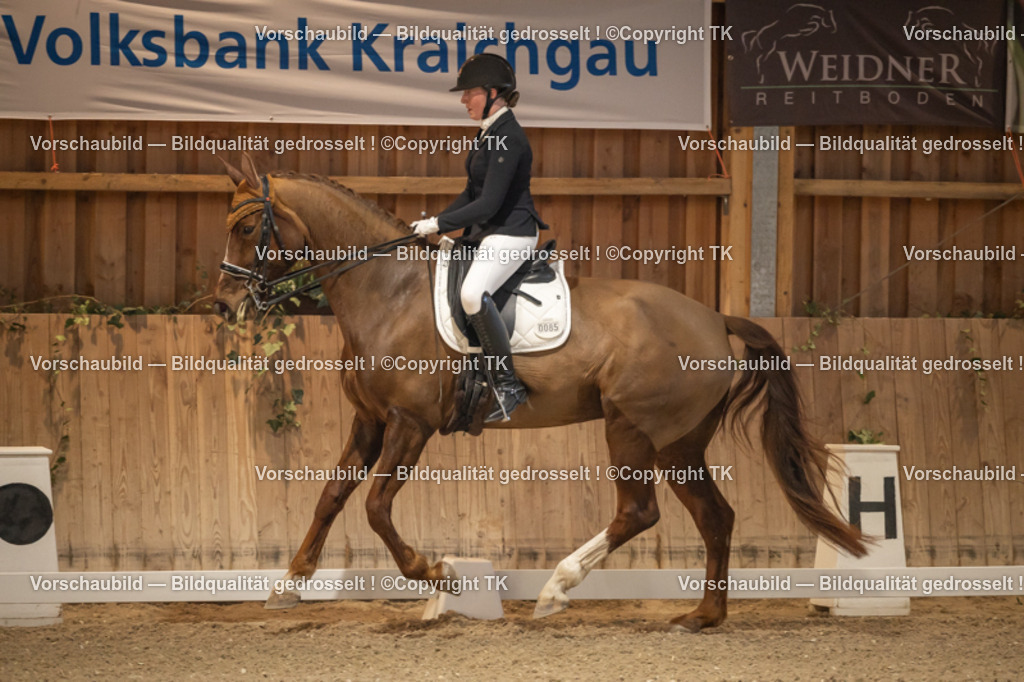 _D5A3595 | Emotionale Pferde- & People-Fotografie rund um Heidelberg, Leimen & Umgebung. Natürliche Fotos von Pferd, Mensch & Familie. Jetzt Termin sichern!