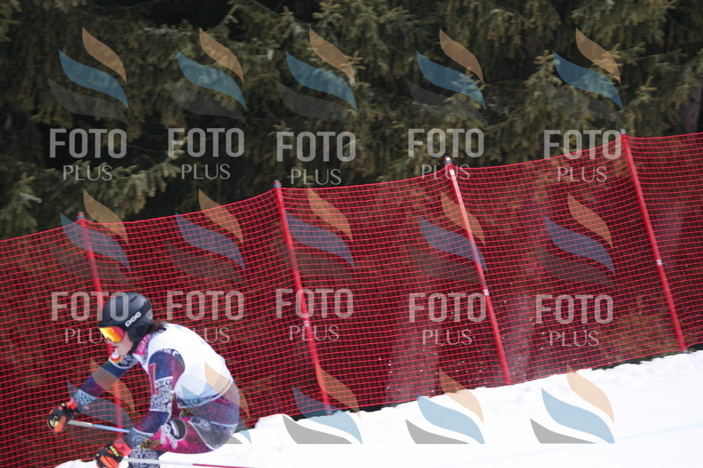 D4825 | holidayphoto