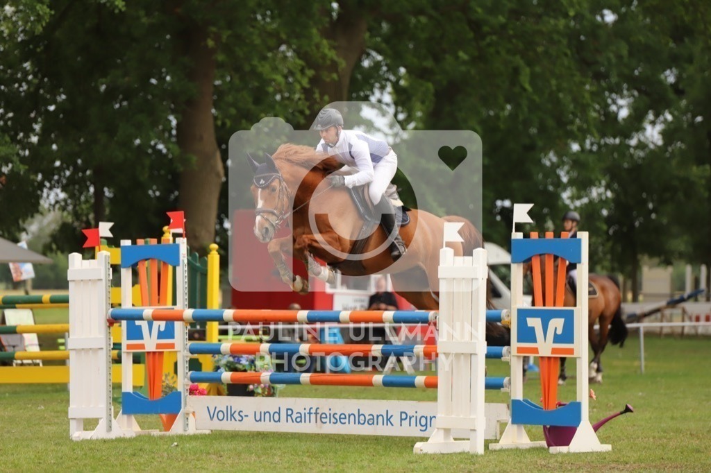 IMG_8053 | Pauline Ullmann Photography - Realisiert mit Pictrs.com