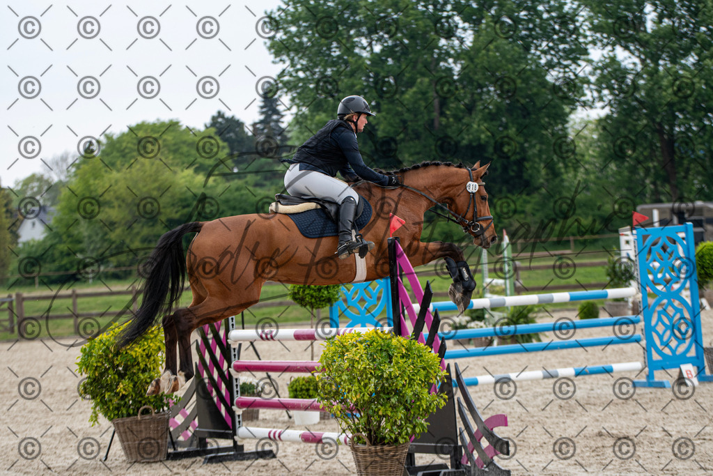 KPT_3602 | andre_photographic