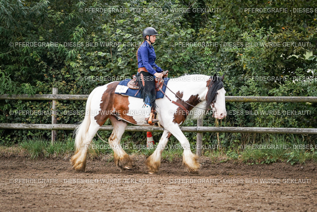 DSC08874 | Pferdegrafie