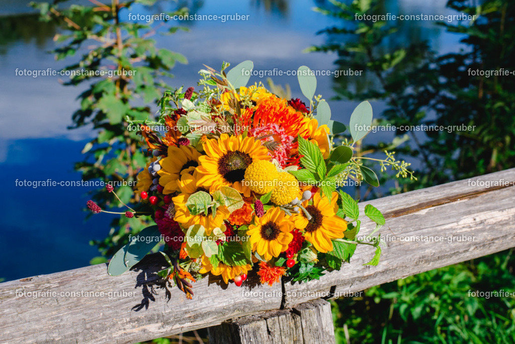 1016 | Fotografie Constance Gruber - Realisiert mit Pictrs.com