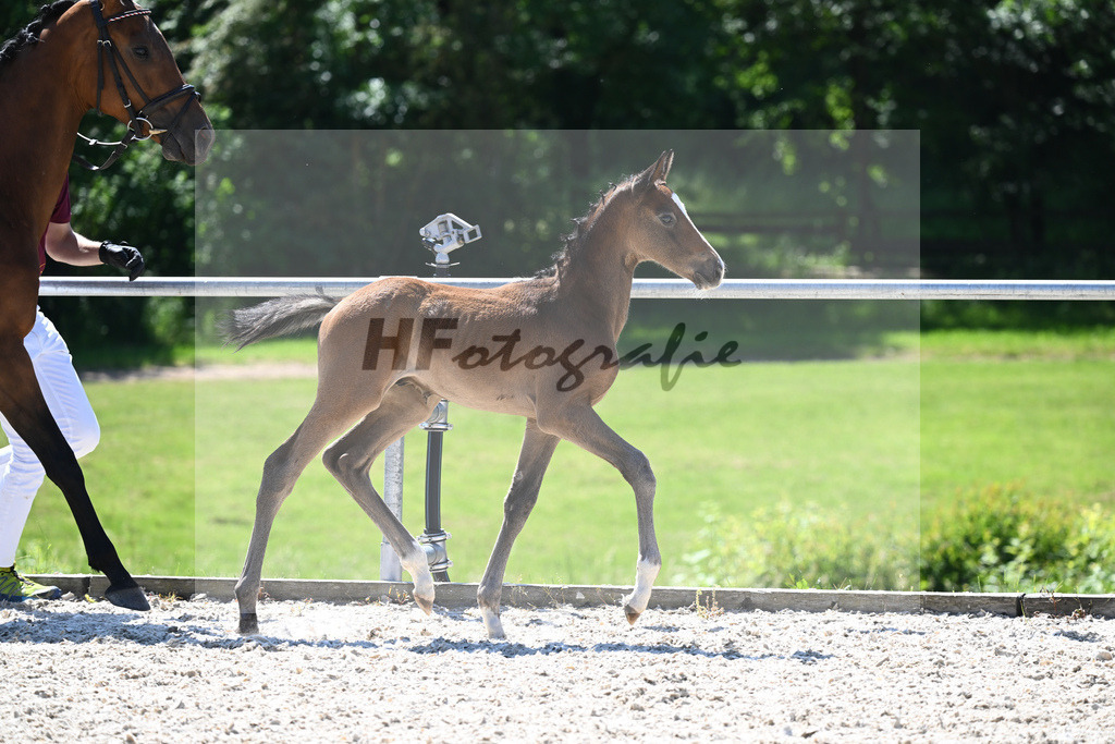 Kat-Nr. 26 HF Vingino_Ruhland_16230343 | hf-fotografie - Realisiert mit Pictrs.com