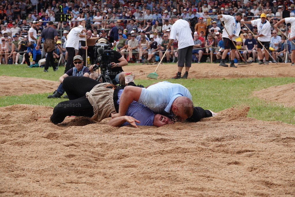 DSC01221 | Schwingen - Realisiert mit Pictrs.com