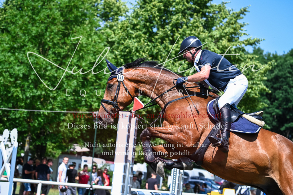 DSC_1003 | Pferde- und Turnierfotografie in Westsachsen. Pferdeportraits, Auftragszeichnungen und intuitive Kunst.