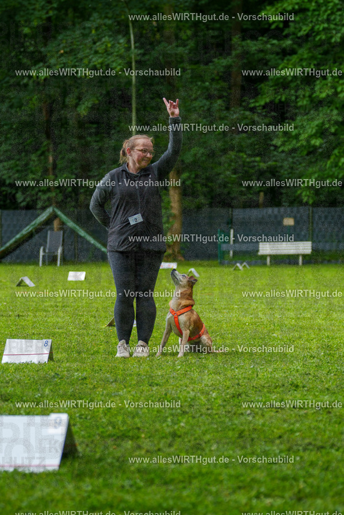 @allesWIRTHgut_Tierfotografie - www.allesWIRTHgut.de - 7R502048 | Professionelle Tierfotografie in Mönchengladbach von Daniel Wirth (allesWIRTHgut). Liebevolle & natürliche Bilder von Hunden & Katzen für unvergessliche Erinnerungen.
