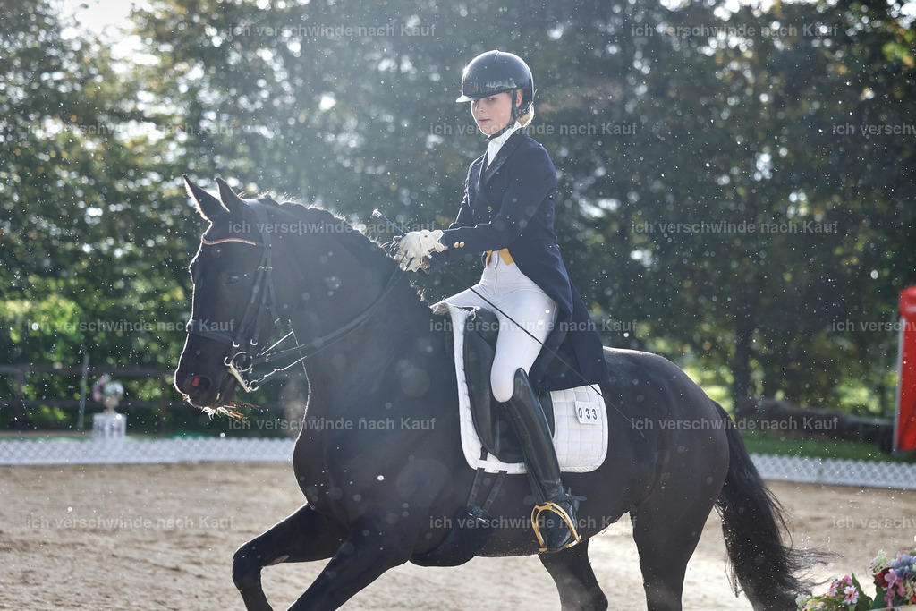10-033-ST.GEORG SPECIAL -StoibPH-3133 | working equitationturnier fotograf videograf stoibphotography marixx film working equitation deutschland reitsport turnierfotografie eventfotografie equestrian events
