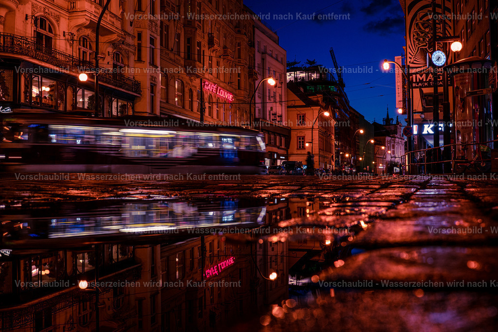 DSC03710 | marcuslinek