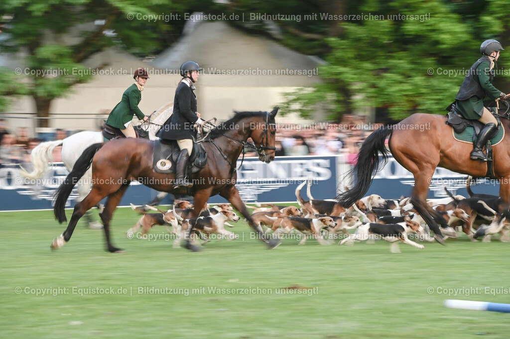 20230526_Pferdenacht_0659 | equistock
