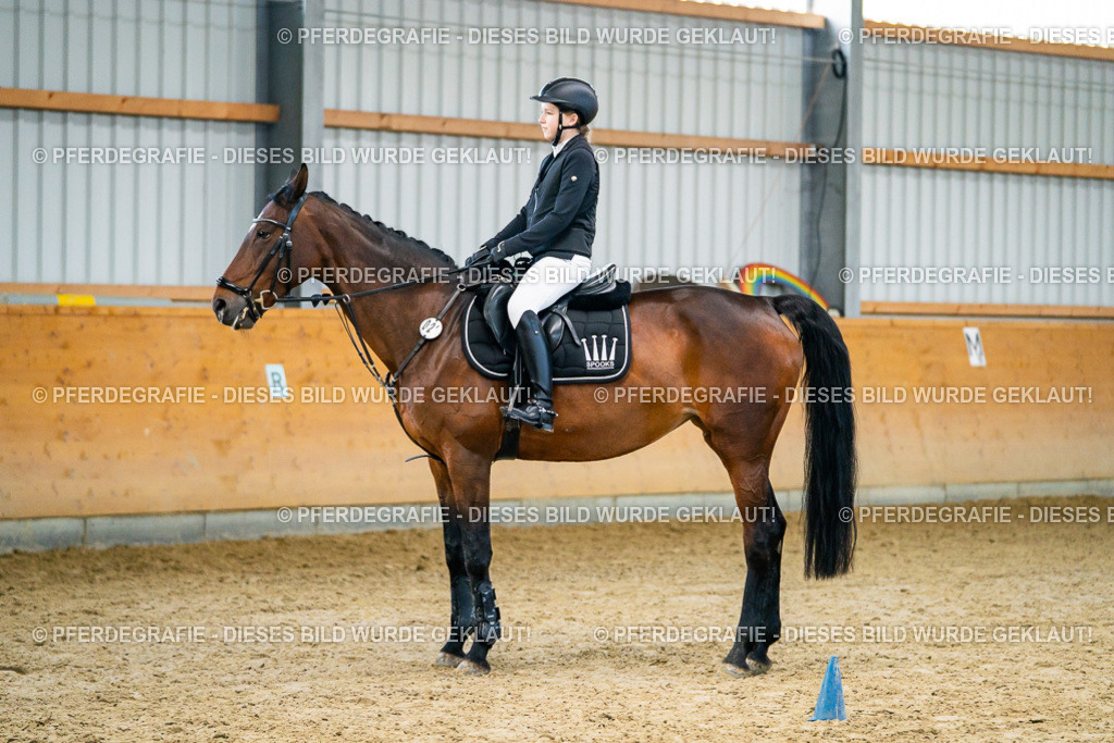 DSC00641 | Pferdegrafie