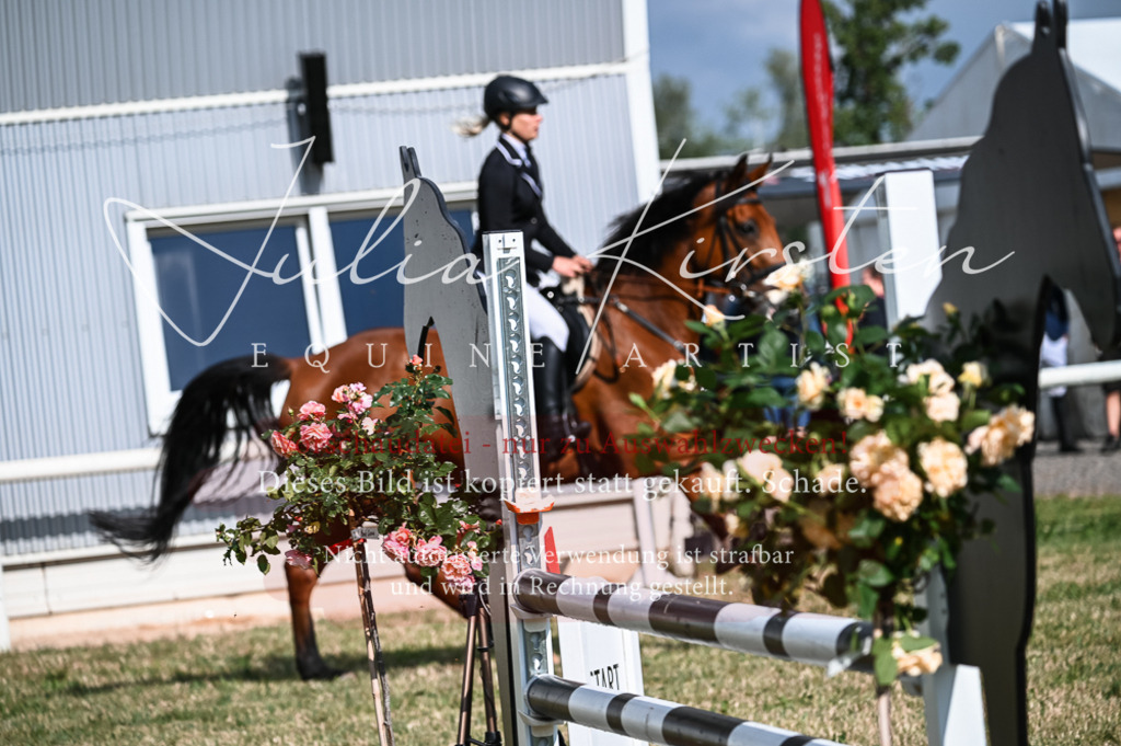 DSC_7799 | Pferde- und Turnierfotografie in Westsachsen. Pferdeportraits, Auftragszeichnungen und intuitive Kunst.