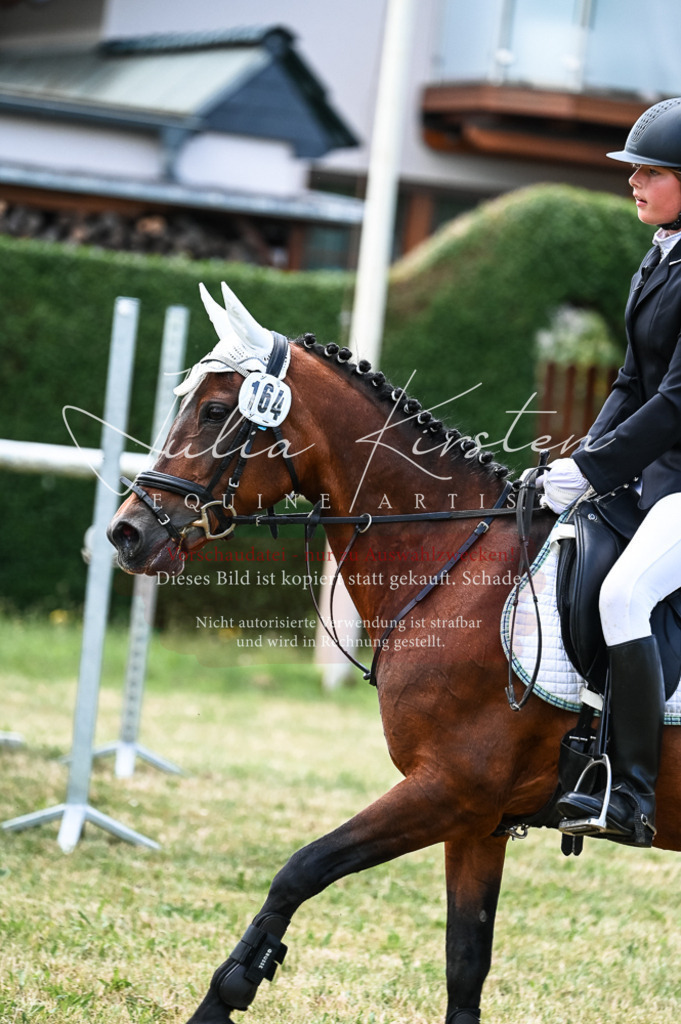 DSC_9803 | Pferde- und Turnierfotografie in Westsachsen. Pferdeportraits, Auftragszeichnungen und intuitive Kunst.