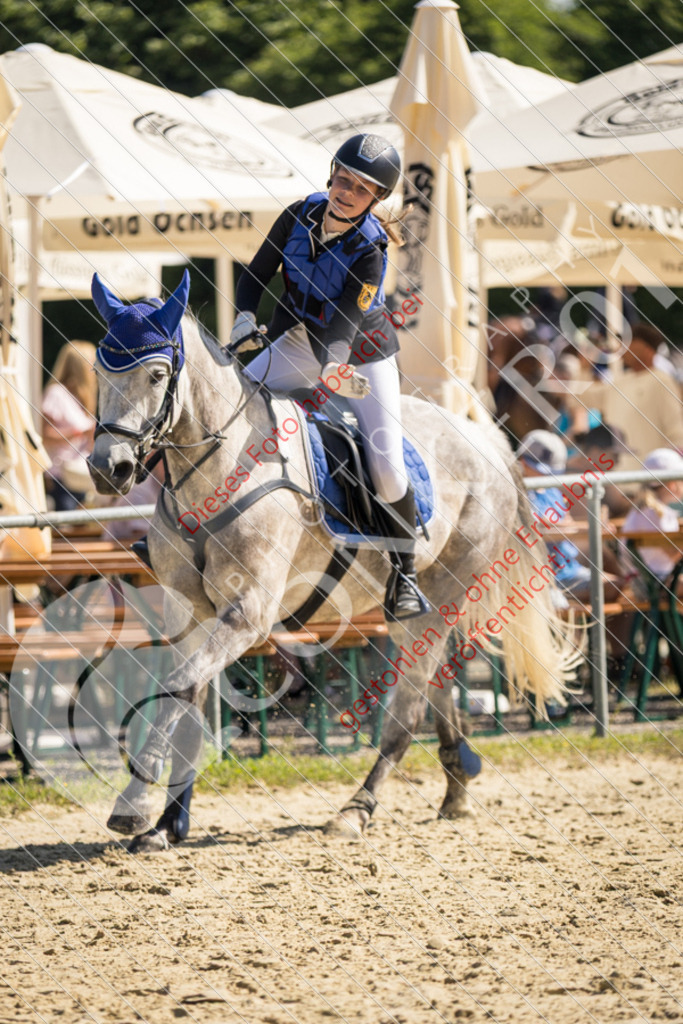 IMG_3159 | Sport-, Event- und Tierfotos in Profiqualität. Einfach auswählen, bestellen und herunterladen. Dein Moment – perfekt festgehalten.