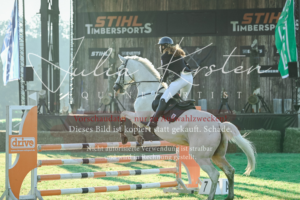 DSC_4051 | Pferde- und Turnierfotografie in Westsachsen. Pferdeportraits, Auftragszeichnungen und intuitive Kunst.