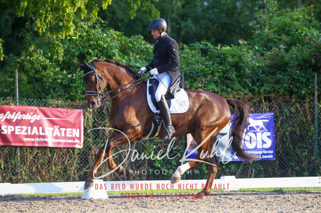 DKP41604 | Turniersportfotografie; Pferdefotografie; Dressurfotografie