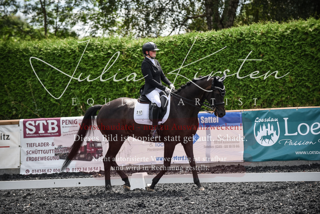 DSC_4803 | Pferde- und Turnierfotografie in Westsachsen. Pferdeportraits, Auftragszeichnungen und intuitive Kunst.