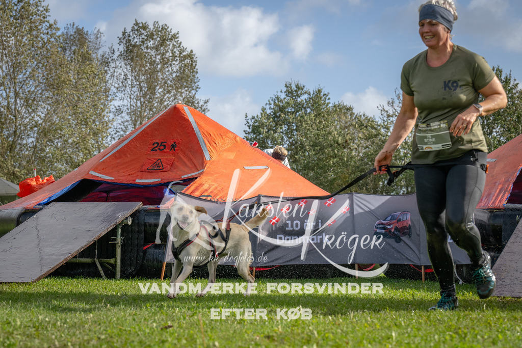 1211-92742 | kk-dogfotos