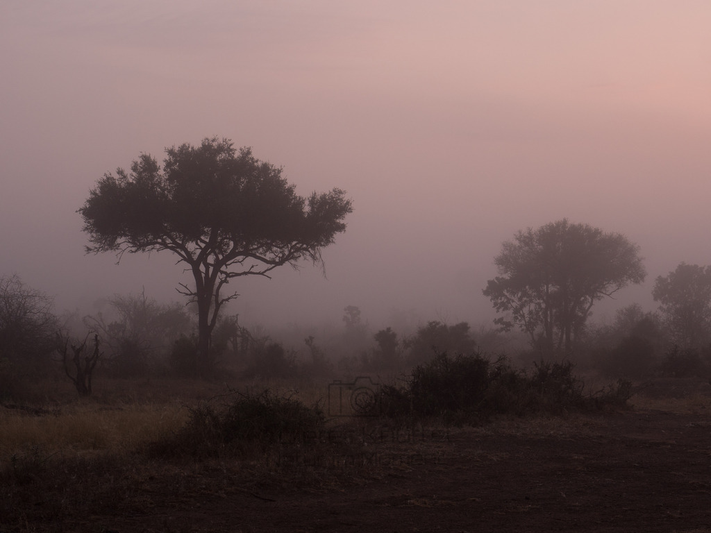 PANA1883-LR | Natur im Moment - Realisiert mit Pictrs.com