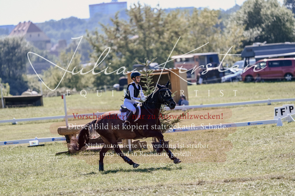 DSC_2777 | Pferde- und Turnierfotografie in Westsachsen. Pferdeportraits, Auftragszeichnungen und intuitive Kunst.