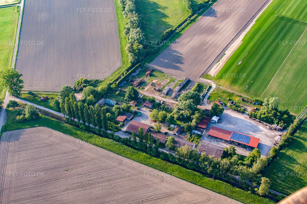 Luftbild: Semler Rollrasen in Elisabethenwörth im Ortsteil Rheinsheim in Philippsburg im Bundesland Baden-Württemberg in Deutschland. Foto: IMG_64882.jpg vom 18.05.2014 durch Werner Riehm/FLY-FOTO.de