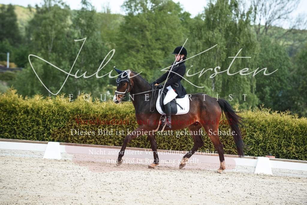 20230518_JK-Röhrsdorf-12-0056 | Pferde- und Turnierfotografie in Westsachsen. Pferdeportraits, Auftragszeichnungen und intuitive Kunst.