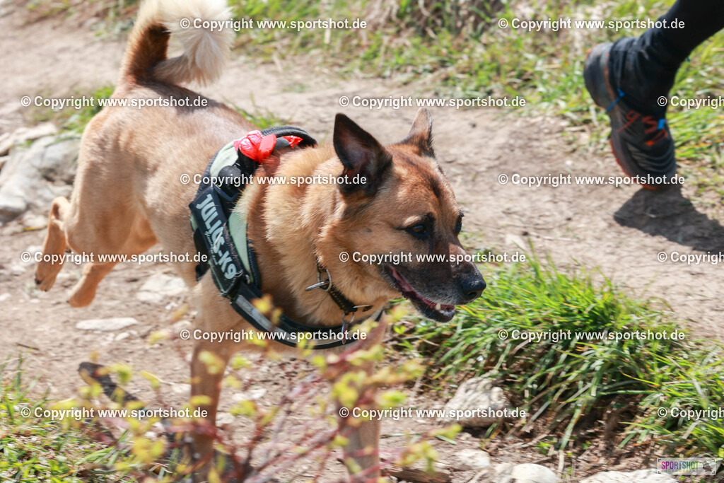 6R3A2587 | Chiemgau Trail Run                                            @chiemgau_trail_run @Sportshotphotography                                    Photo Credit : www.sportshot.de