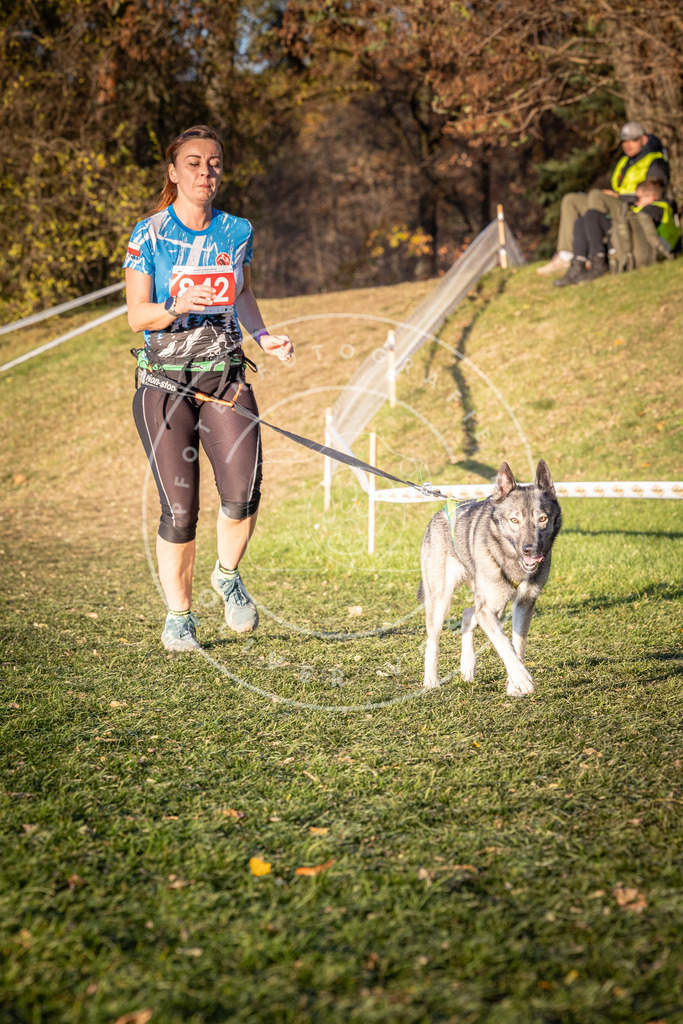 CaniXpix_0L8A0820 | Hundefotografie, Tierfotograf, Pfotenfotografie, Fotoshooting Hund, Hunde Portrait, Hundesport, Hundeportraits, Heideshooting, Hunde, Sportfotograf, Hundefotograf, Turnierhundsport, THS,  - Realisiert mit Pictrs.com