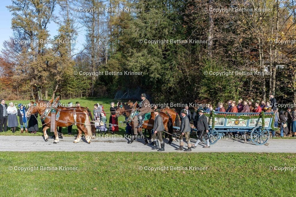 LBT24-364 | foto-bettina-krinner - Realisiert mit Pictrs.com