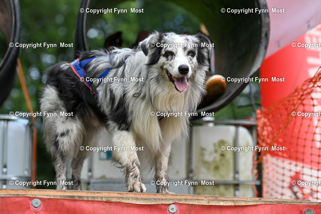 DSC_4127 | Hallo und herzlich Willkommen auf meiner Shop-Seite Fynn Most.

Ich wünsche Dir viel Spaß beim stöbern durch die Bilder, wenn Du Fragen hast oder Bilder vermisst, kannst du mir gerne eine Nachricht schreiben. - Realisiert mit Pictrs.com