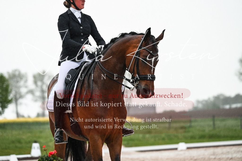 DSC_4581 | Pferde- und Turnierfotografie in Westsachsen. Pferdeportraits, Auftragszeichnungen und intuitive Kunst.