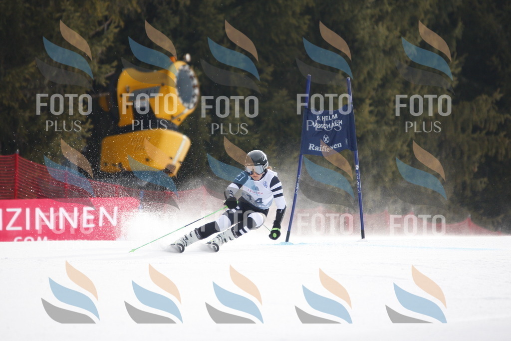 D4774 | holidayphoto