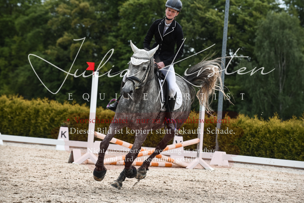20230518_JK-Röhrsdorf-10-409 | Pferde- und Turnierfotografie in Westsachsen. Pferdeportraits, Auftragszeichnungen und intuitive Kunst.