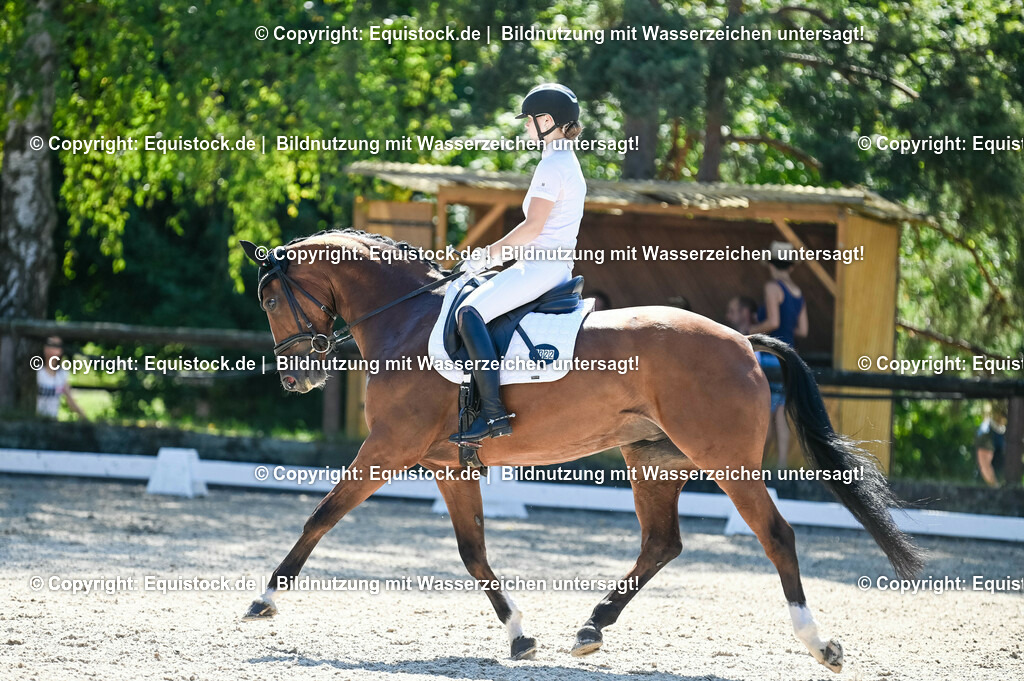 20230908_06_Dressur-L-Trense_0805 | equistock