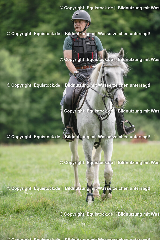 20250726_Vielseitigkeitslehrgang-Marbach_0573 | Foto: Thomas Hartig