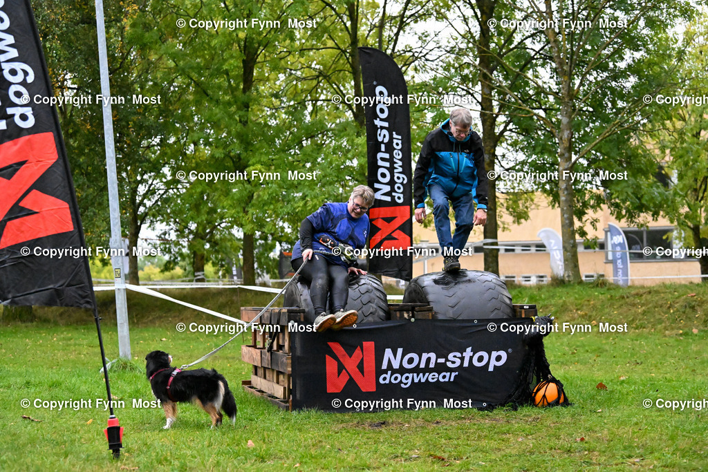 DSC_1310 | Hallo und herzlich Willkommen auf meiner Shop-Seite Fynn Most.

Ich wünsche Dir viel Spaß beim stöbern durch die Bilder, wenn Du Fragen hast oder Bilder vermisst, kannst du mir gerne eine Nachricht schreiben. - Realisiert mit Pictrs.com